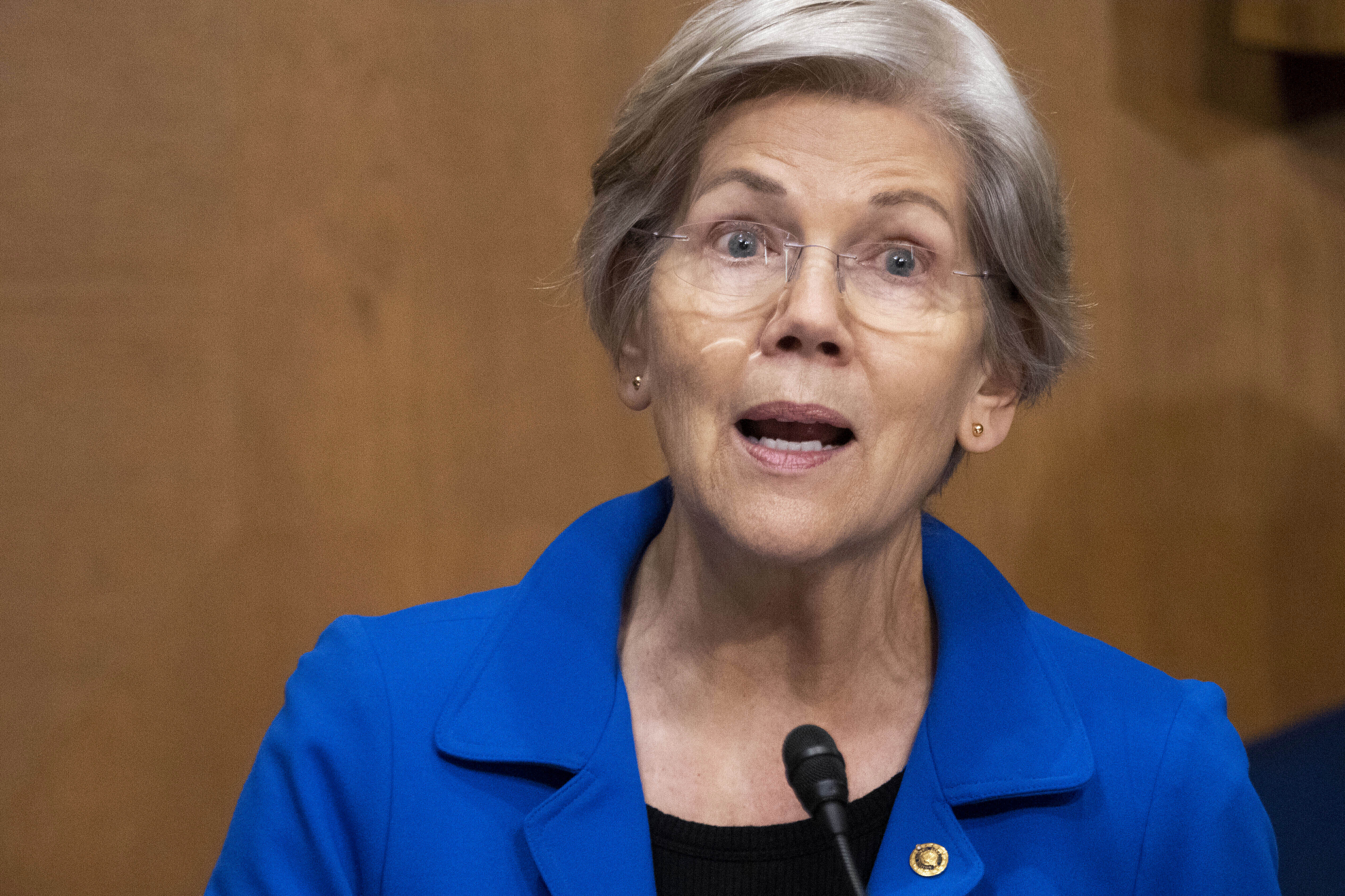 Sen. Elizabeth Warren (D-Mass.). Sen. Elizabeth Warren (D-Mass.).