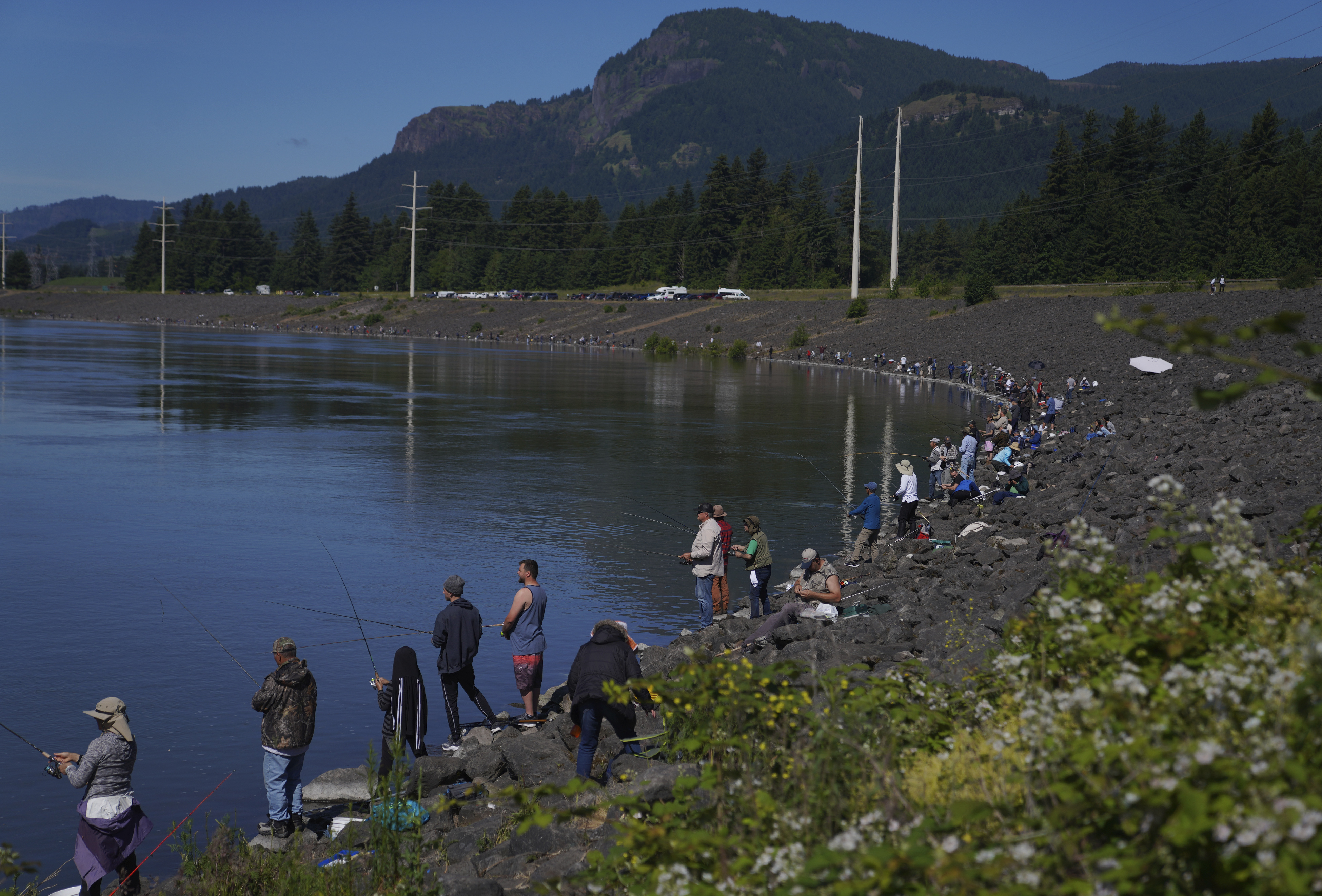 Travelers and locals cast fishing lines from the Bonneville Dam on the Columbia River. Travelers and locals cast fishing lines from the Bonneville Dam on the Columbia River.