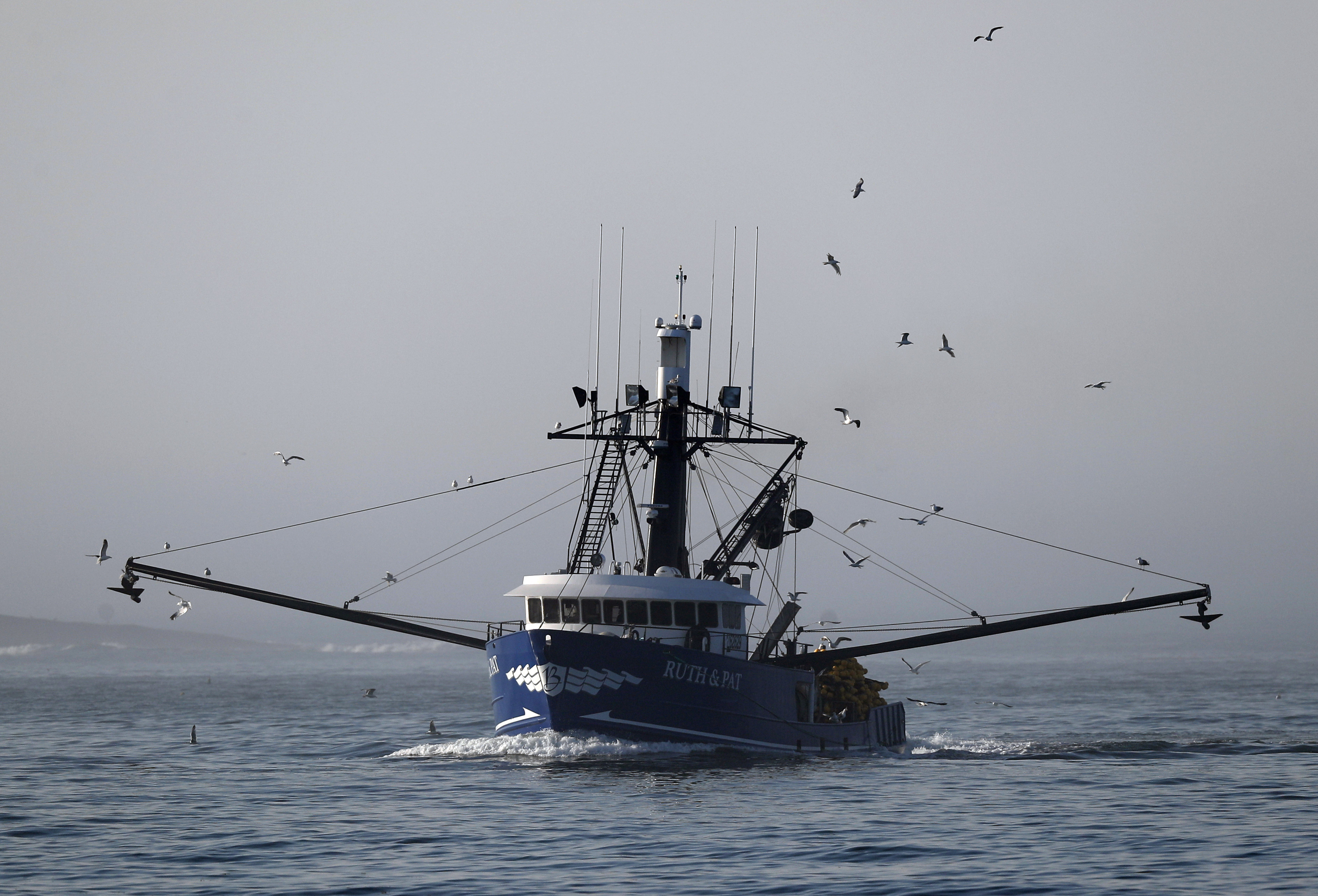 A herring seine boat motors out of the fog off the coast of South Portland, Maine. A herring seine boat motors out of the fog off the coast of South Portland, Maine.